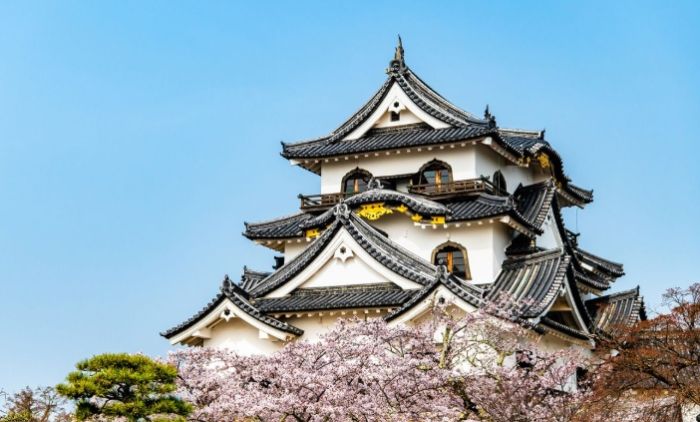 琵琶湖景點 琵琶湖景點