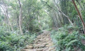 金獅步道 金獅步道
